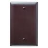 Legrand® Pass & Seymour TradeMaster® Brown Nylon 1-Gang Blank Box Mounted Wall Plate