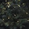 Enchanted Forest® 100-Light Cool White White Solar Fairy Light Set
