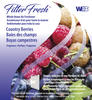Filter Fresh™ Berry Scented Air Filter Air Freshener