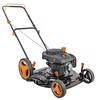 Pulsar® 21" 2-In-1 200cc Gas Push Lawn Mower