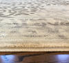 Radici USA Livigno Beige 5' x 8' Area Rug