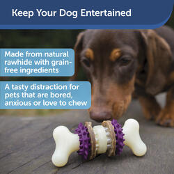 PetSafe Busy Buddy Rawhide Treat Ring Refills for Dog Toys, Small