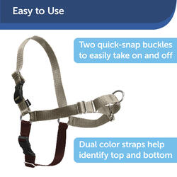 PetSafe Bling Easy Walk No-Pull Harness for Dogs