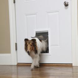 PetSafe 10 3 4 x 15 5 8 Medium Aluminum Pet Door at Menards