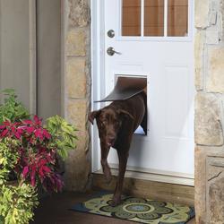 PetSafe 12 3 4 x 19 3 8 Large Aluminum Pet Door at Menards