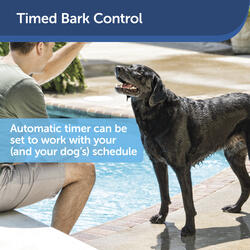 Elite big clearance dog bark control