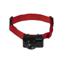 Menards 2024 petsafe collar