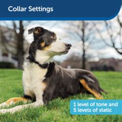 Petsafe free store to roam collar