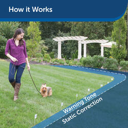 PetSafe® Basic In-Ground Pet Fence at Menards®