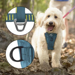 Menards dog shops harness