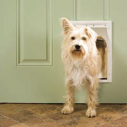 Menards pet hot sale door