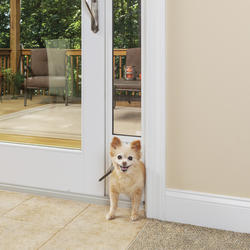 Menards screen door with dog door best sale