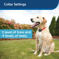 PetSafe® Deluxe In-Ground Fence UltraLight™ Receiver Collar