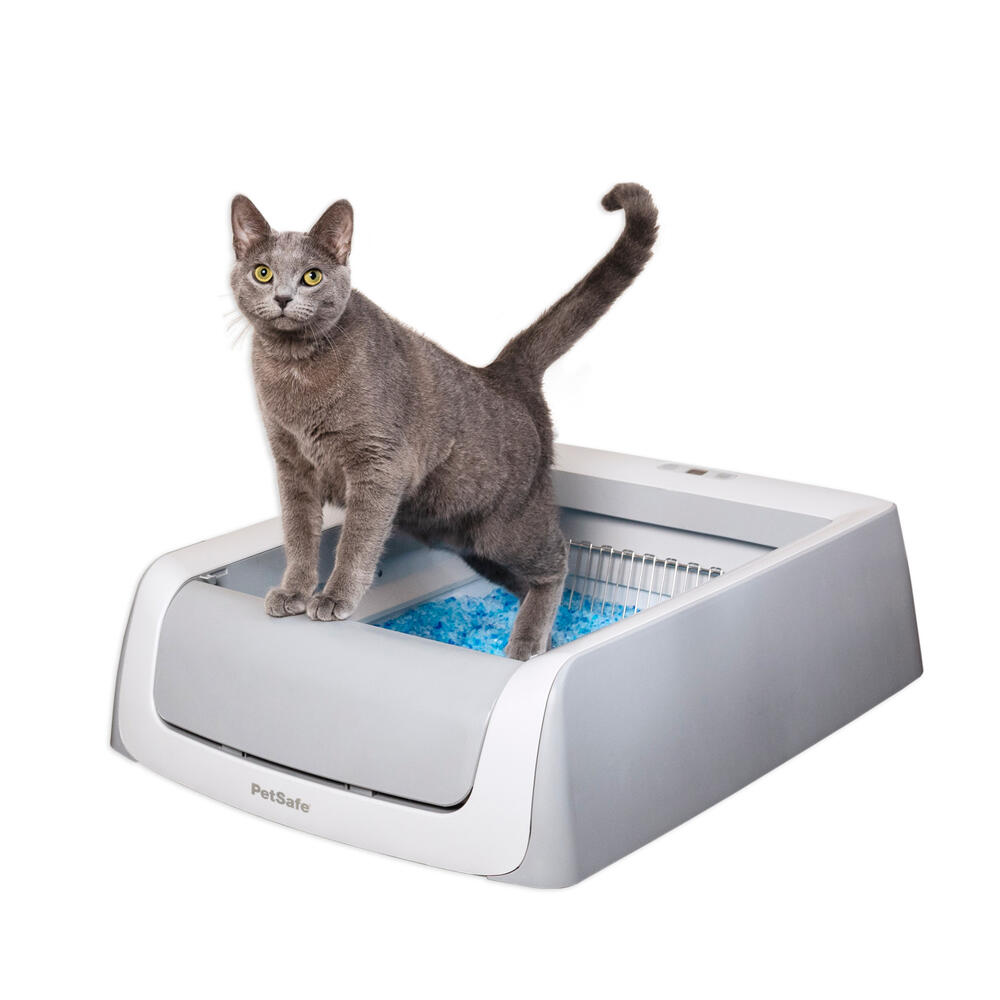 PetSafe ScoopFree Self Cleaning Cat Litter Box at Menards