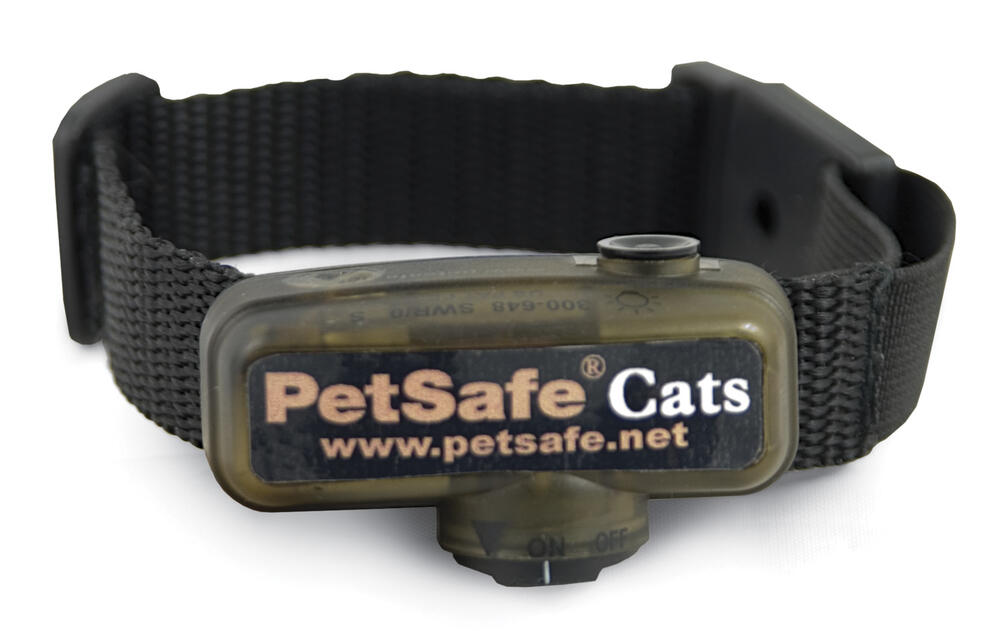 Menards petsafe collar best sale