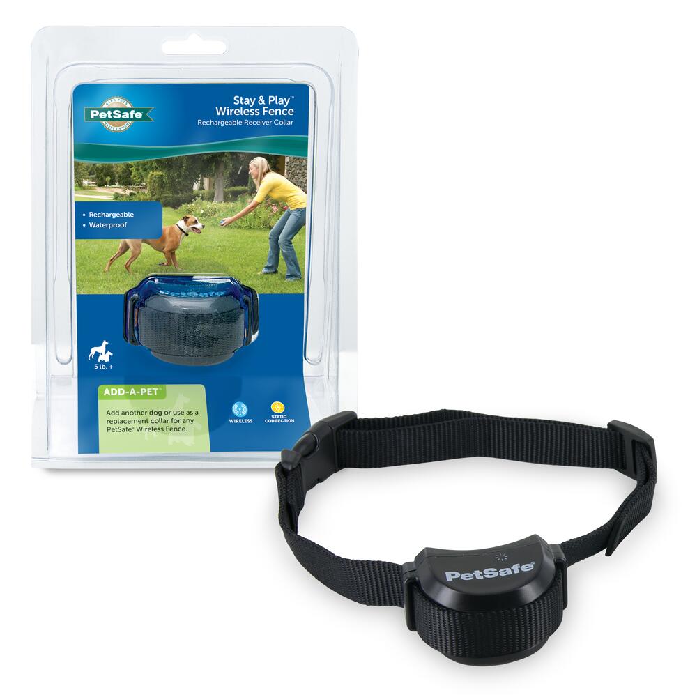 PetSafe Stay Play Wireless Fence Rechargeable Receiver Dog Collar at Menards