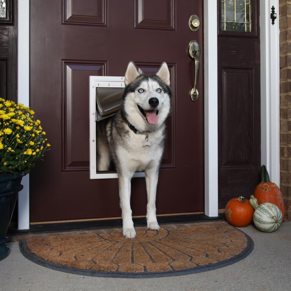 Petsafe dog door extreme weather best sale