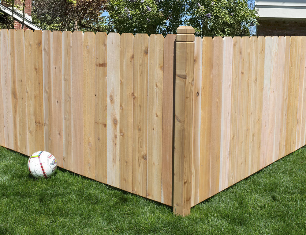 x Cedar Dog Ear Wood Fence Panel