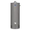 Richmond® Essential Plus® 40 Gallon 9-Year 38,000 BTU Tank Natural Gas Tank Water  Heater