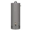 Richmond® Essential® 29 Gallon 6-Year 32,000 BTU Tank Convertible Gas Mobile Home Water Heater