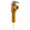 Richmond® Water Heater Temperature and Pressure Relief Valve