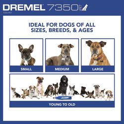 Dremel® 4V Cordless Pet Nail Grinder Kit at Menards®