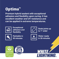 WHITE LIGHTNING, Clear, 10 oz, Silicone Sealant - 6KHF5