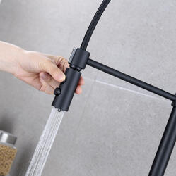 Runfine Lincoln Single-Handle Pull Down Sprayer Kitchen Faucet
