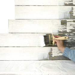 Zinsser® Peel Stop® Triple Thick Interior/Exterior High Build