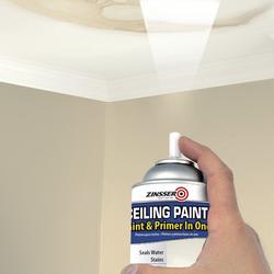 Zinsser Covers Up White Flat Solvent-Based Acrylic Ceiling Paint & Pri