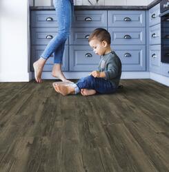 Shaw Floors Wayfinder Click Lock Waterproof Luxury Vinyl Plank Flooring -  Ashen Pine