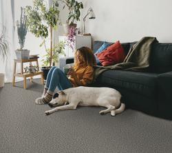 ◆まー◆apacs◆Z-FUSION GREY◆2本セット ◇まー◇apacs◇Z-FUSION GREY◇2本セット Z-Fusion – Apacs