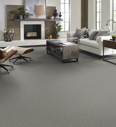 Shaw® Pet Perfect + Fusion II Network Frieze Carpet 12ft. Wide at Menards®