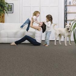 Shaw® Resolute Granite Frieze Carpet 12 ft. Wide