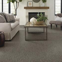Shaw® Resolute Granite Frieze Carpet 12 ft. Wide