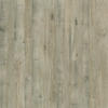 Shaw® Cloverdale French Gray Mixed Width x 47-13/16