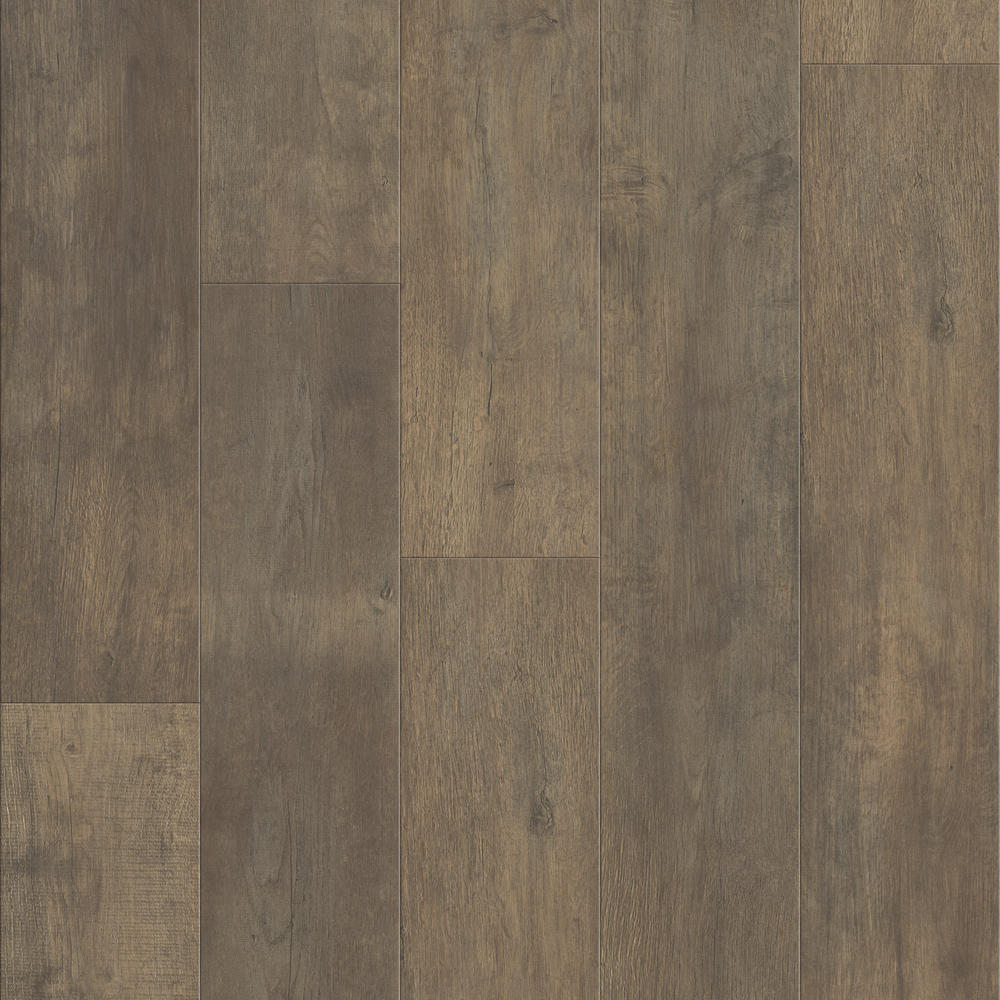 Shaw® Repel™ Royal Harvest Sovereign Pine 8