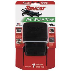 Tomcat Mouse Snap Traps at Menards®