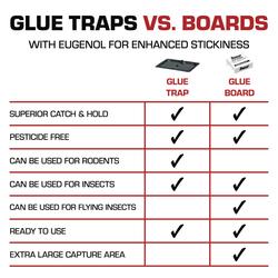 Tomcat Glue Traps – Rainbow Technology
