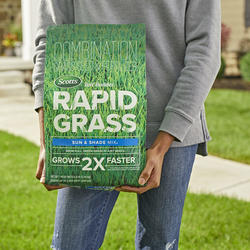 Grass Seed At Menards