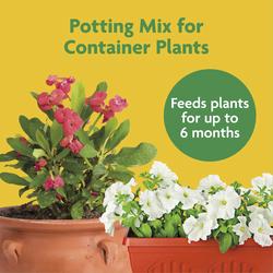 Miracle-Gro Potting Soil Mix - 1 cu. ft.