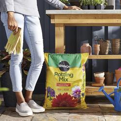 fertiliser for fiddle leaf fig EarthPods Fiddle Leaf FIG & Ficus Organic Plant Food Spikes (100 Fertilizer Capsules)