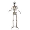 Pumpkin Hollow™ 8' Animated LED Skeleton with Sound Halloween Décor