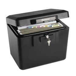 Sentry® Safe .61 cu. ft. Large Fire File Safe at Menards®