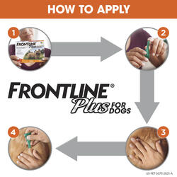 Frontline Plus for Dogs up to 22 lbs at Menards