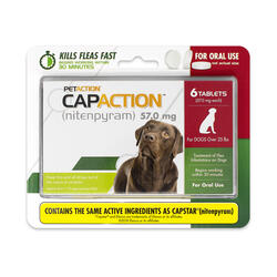 Pet Action CapAction for Dogs over 25 lbs at Menards