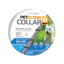 Pet Action 6 Month Flea Tick Small Dog Collar