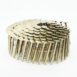 3/4 Ring 304SS Coil Roofing Nails 600ct