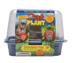 Garden State Bulb Catnip Herb Grow Kit with Mouse Toy (2-Pack) ECH-18-02-01  - The Home Depot