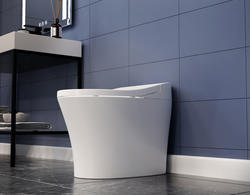 eito ENVO by ANZZI® Vail White Elongated Bidet with Heated Seat and